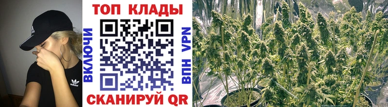 Где можно купить наркотики Новокузнецк Галлюциногенные грибы  АМФЕТАМИН  МЕФ  Каннабис  Кокаин  А ПВП  ГАШ 