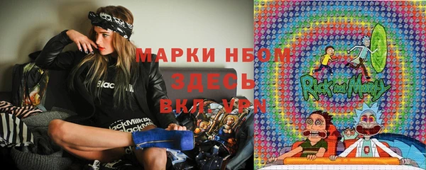 тгк Бородино